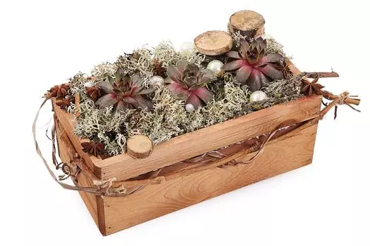 Композиция Илиада