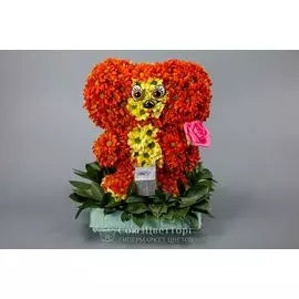 Композиция из цветов Чебурашка