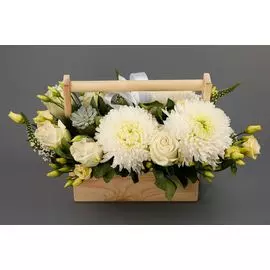 Композиция в кашпо Поцелуй ангела