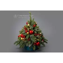 Композиция в кашпо Лесная красавица