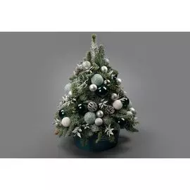 Композиция в кашпо Лесной аромат