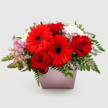 Композиция в кашпо Музыка сердца