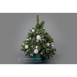 Композиция в кашпо Снежная ель