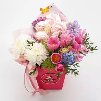 Композиция в кашпо Весенний дождь