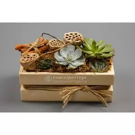 Композиция Зеленый мираж