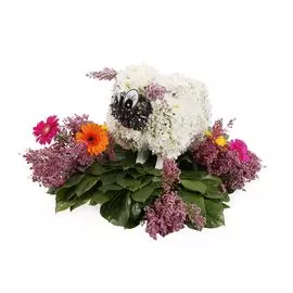 Овечка Молли