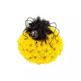 Паучье золото