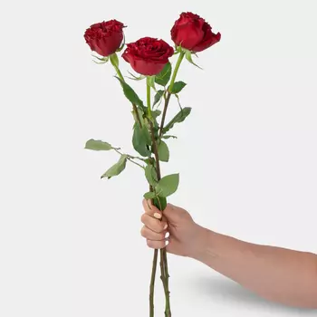 Роза Хартс 60 см (3 шт.)