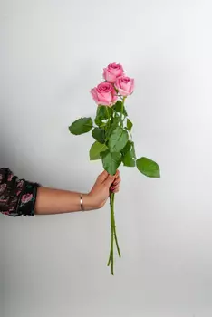 Роза розовая 60 см (3 шт.)