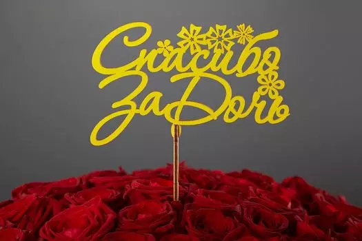 Топпер «Спасибо за дочь»