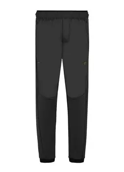 Брюки мужские Trouser EA7