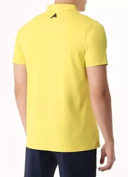 Поло мужское MONTERNO