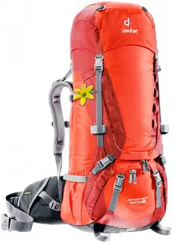 Рюкзак Deuter Aircontact 40+10 Sl Papaya/lava