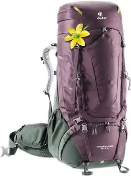 Рюкзак Deuter Aircontact Pro 65+15 Sl Aubergine/ivy