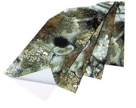 Стикеры Camu 3D (5 Шт.)