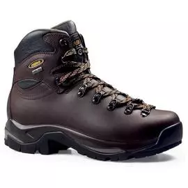 Треккинговые Ботинки Asolo Backpacking Tps 520 Gv Mm Chestnut