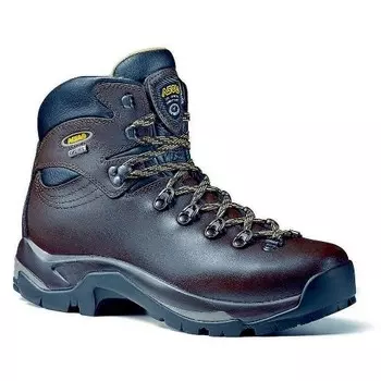 Треккинговые Ботинки Asolo Tps 520 Gv Chestnut