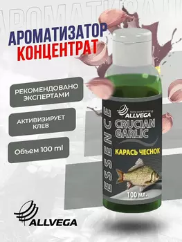 Ароматизатор-концентрат ALLVEGA "Essence" Чеснок, Зеленый