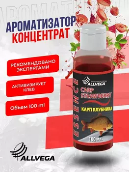 Ароматизатор-концентрат ALLVEGA "Essence" Клубника, Красный