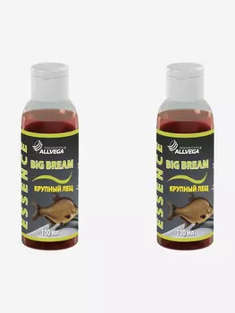 Ароматизатор-концентрат жидкий ALLVEGA "Essence Big Bream", крупный лещ, 2шт по 100 мл, Красный