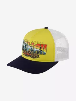 Бейсболка с сеточкой AMERICAN NEEDLE 44960A-HAWA Hawaii Riptide Valin (желтый), Желтый