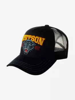 Бейсболка с сеточкой STETSON 7761118 TRUCKER CAP WILD ONES (черный), Черный