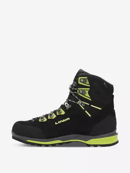 Ботинки мужские Lowa Ticam Evo GTX, Черный