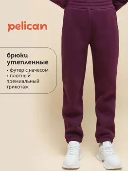 Брюки детские Pelican, Коричневый