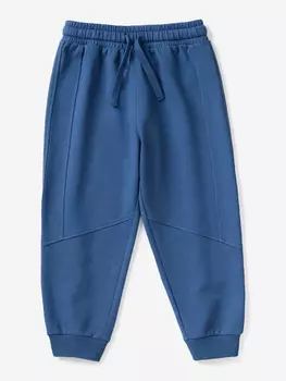 Брюки для мальчика Artie, Синий