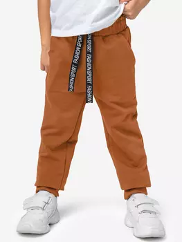 Брюки для мальчиков Bonito kids, Коричневый
