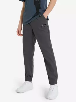 Брюки для мальчиков Termit, Серый