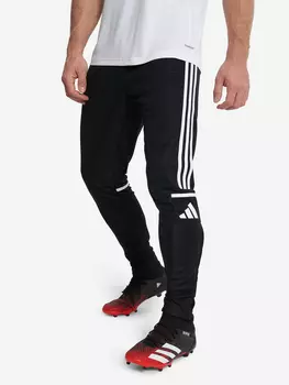 Брюки мужские adidas Sq25, Черный