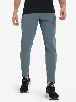 Брюки мужские Athlex, Серый
