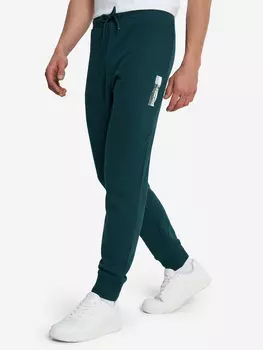 Брюки мужские Champion European Classic, Зеленый