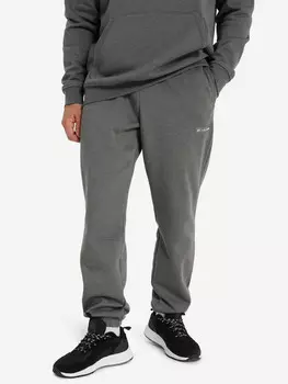Брюки мужские Columbia Meridian Creek Jogger, Серый