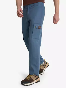 Брюки мужские Cordillero, Синий