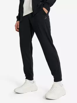 Брюки мужские Demix, Черный