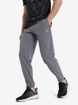 Брюки мужские Demix, Серый