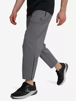 Брюки мужские Demix, Серый