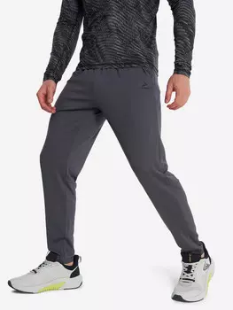 Брюки мужские Demix, Серый