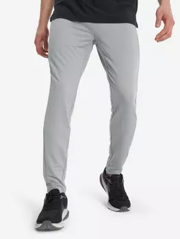 Брюки мужские Demix, Серый