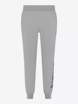 Брюки мужские Demix, Серый