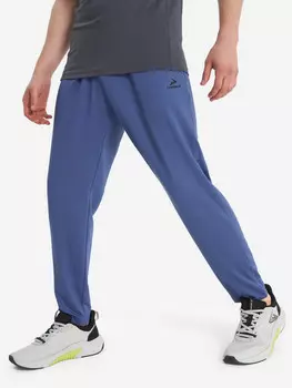 Брюки мужские Demix, Синий