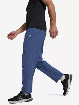 Брюки мужские Demix, Синий