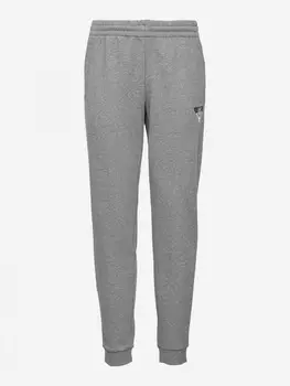 Брюки мужские EA7 Trouser, Серый