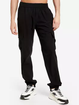 Брюки мужские IcePeak Ackworth, Черный, размер 50