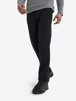 Брюки мужские Jack Wolfskin Wanderest, Черный