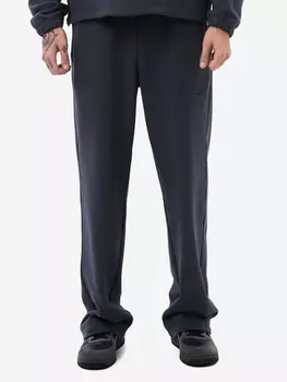 Брюки мужские Nikasport широкие прямые, Серый