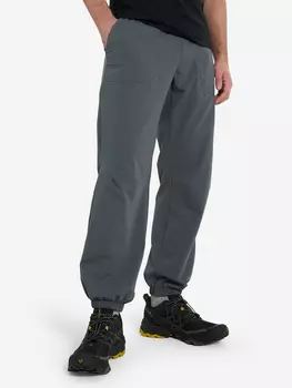 Брюки мужские Northland, Серый