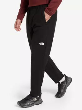 Брюки мужские The North Face Door To Trail, Черный